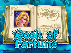 book of fortune slot