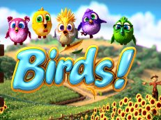 birds slot betsoft