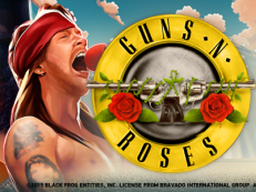 guns n roses slot